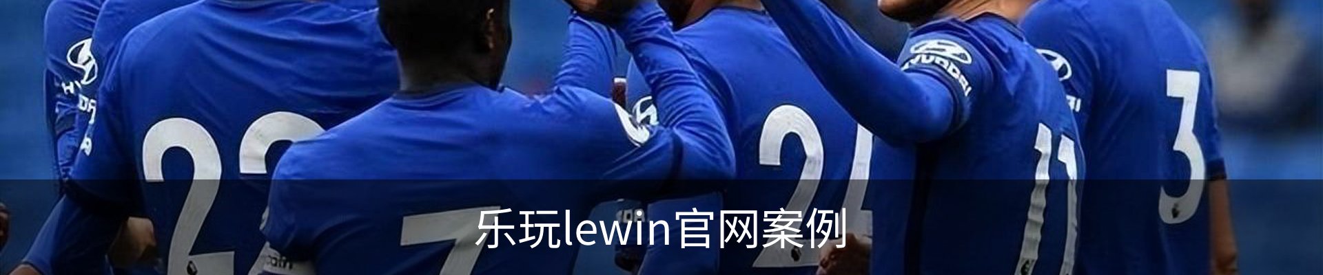 乐玩lewin官网案例